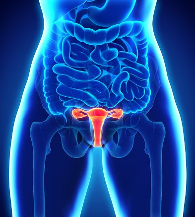Gynaecological cancer awareness and early detection illustration
